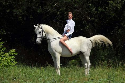 Horse Riding Photo Shoot Ideas For Equestrians