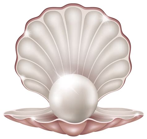 Pearl Vector Png