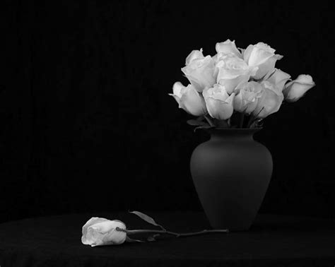 عکاسی سیاه سفید ⭐ راهنمای کامل آموزش عکاسی سیاه و سفید مجله نورنگار