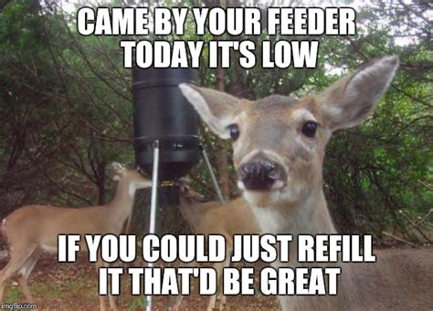 Oh Deer Imgflip