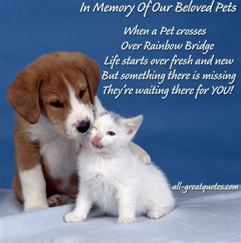 Beloved Pet Memorial Quotes Quotesgram