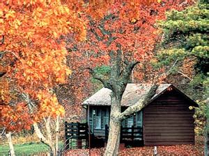 Maybe you would like to learn more about one of these? Shenandoah Cabin Rentals