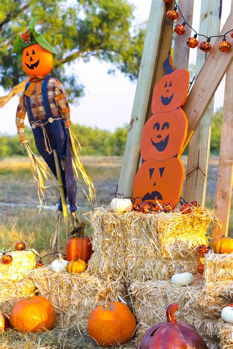 Halloween Pumpkin Patch Fall Decorating Ideas By Iris Nacole Com Iris Nacole