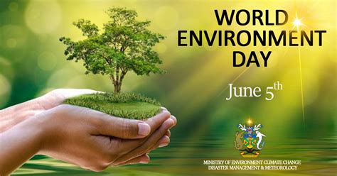 Environment Day Celebrated Across The Globe My Sig Services Portal