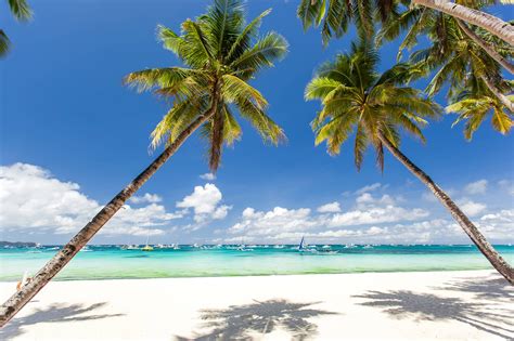 White Sand Christmas Your Boracay Holiday Guide
