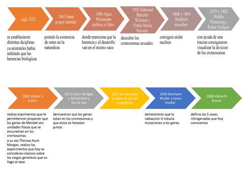 Linea Del Tiempo Historia De La Biolog A Molecular Timeline Timetoa