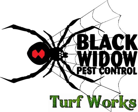 Black Widow Pest Control Better Business Bureau Profile