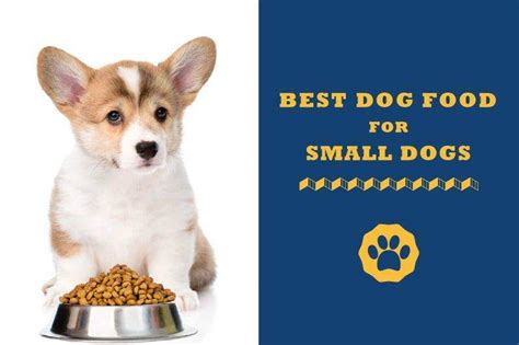 5 Best Dog Food For Small Dogs In 2020 Totally Goldens