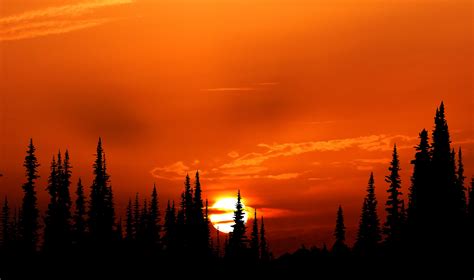 Beautiful Orange Sunset By Rauschenberger