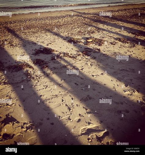 Human Shadows On The Beach Seattle Washington Stock Photo Alamy
