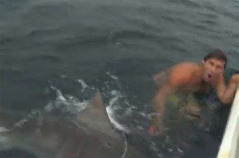Video Man Goes Swimming With Deadly Shark Using Only A Budgie Cage