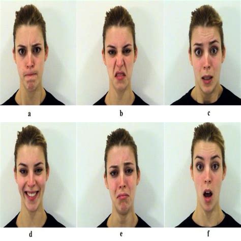 pdf facial emotion recognition a survey