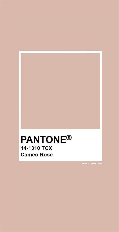 Pantone Cameo Rose Pantone 14 1310 Color Pantone Neutral Colors
