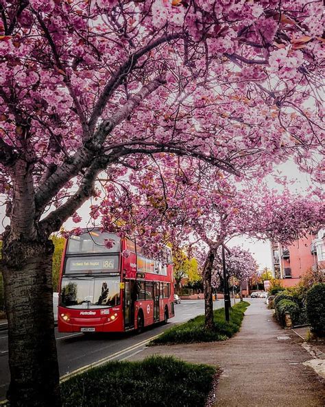 720p Descarga Gratis La Belleza De Londres Ciudad Primavera Fondo