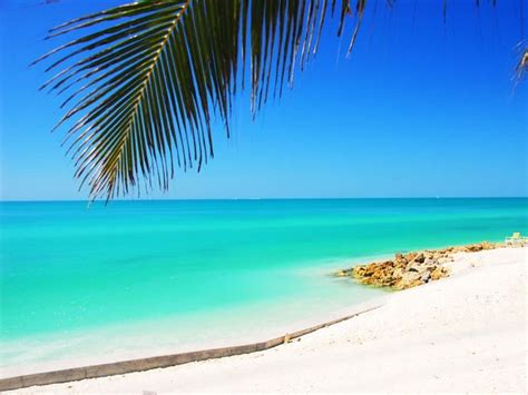 25 Best Beaches In The United States Siesta Key Beach Siesta Beach