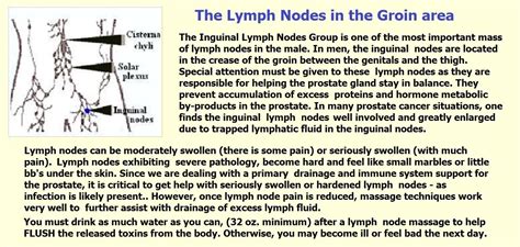How To Drain Lymph Nodes In Groin Best Drain Photos Primagemorg