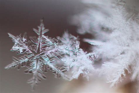 20 Majestic Close Up Pictures Of Snowflakes In 2020 Macro Photography