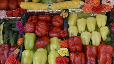 Vegetable Peppers Tomatoes Cucumbers Stock Image Image Of
