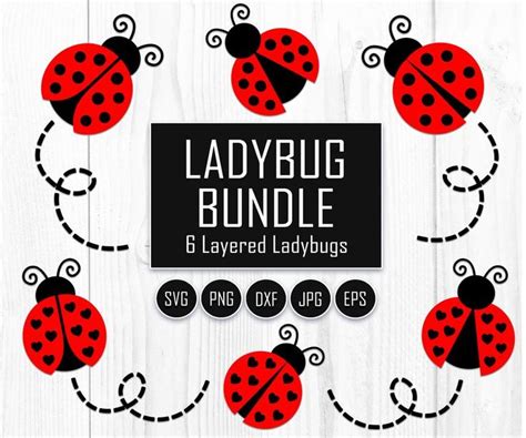 Ladybug Svg Ladybug Bundle Svg Files Ladybug Svg Layered Ladybug Files