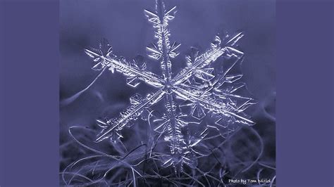 Snow Crystals A Natural Blend Of Science And Art Weather Underground