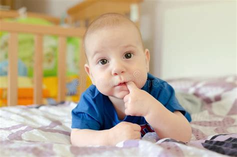 Baby With Finger In Mouth Stock Photo Image Of Cheerful