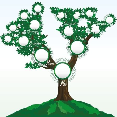 These databases are created and maintained by volunteer end users and can. Family Trees From Simple to Beautiful Display the Work of ...