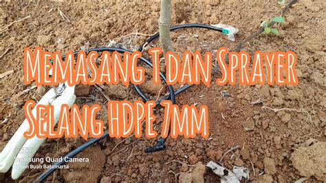 Cara Memasang Selang HDPE 7mm Untuk Penyiraman Kebun Durian YouTube