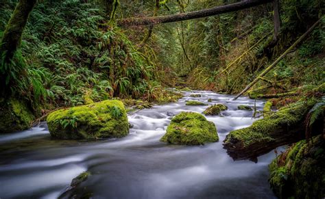 River And Mossy Stones · Free Stock Photo