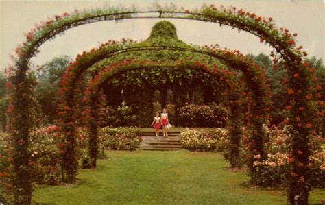 Oldest Rose Garden Who Knew Connecticut History A Cthumanities