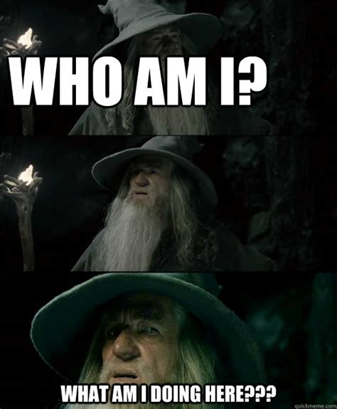 Who Am I What Am I Doing Here Confused Gandalf Quickmeme