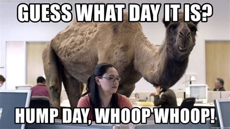 guess what day it is hump day whoop whoop hump day camel yeah meme generator