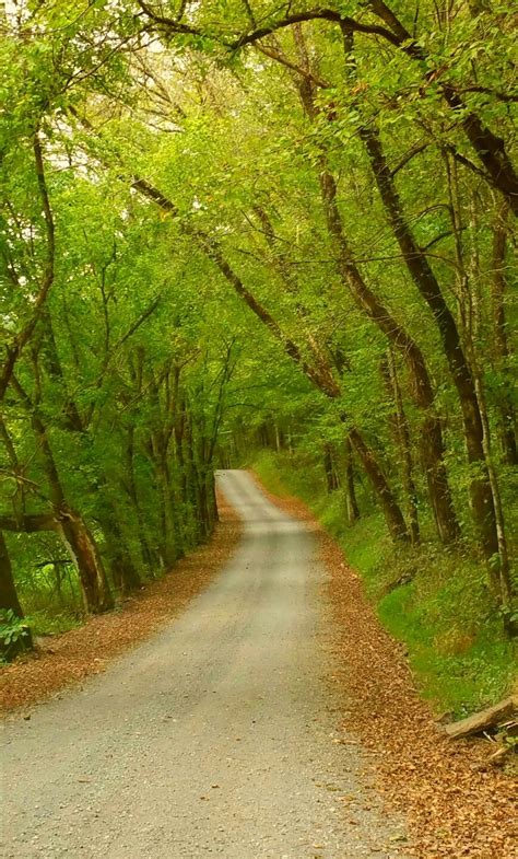 A Tennessee Country Roadtrip Photo Taken By Robin Shake Tenn And