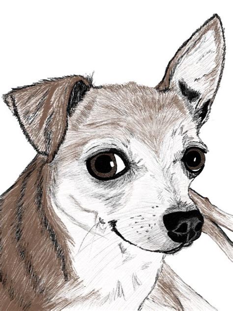 Chihuahua Colored Pencil Drawing Print 8x10 By Travelingarrow