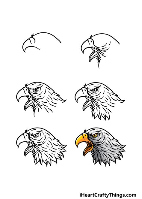How To Draw A Eagle Head Easy Miles Yestioured