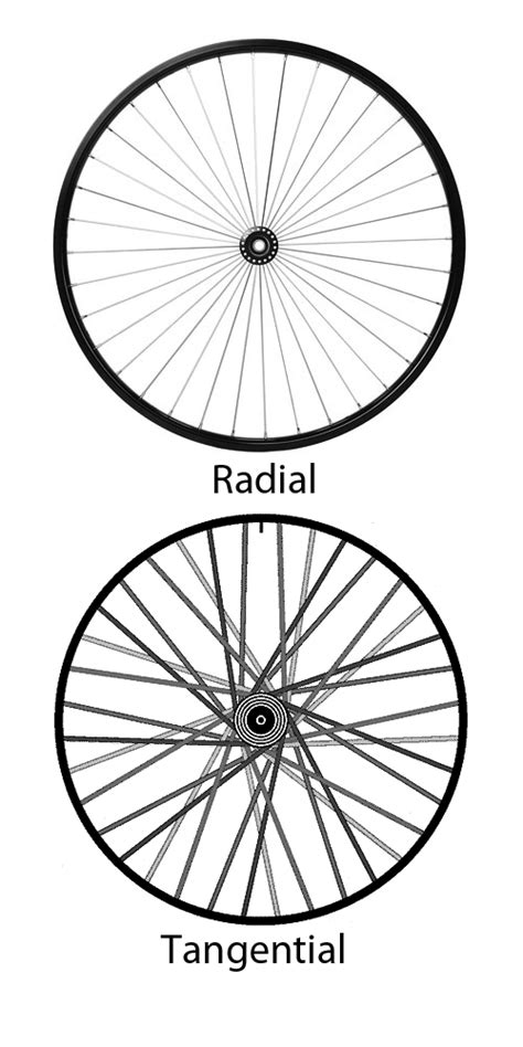 Choosing Spokes Dcr Wheels