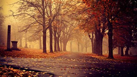 Cool Fall Backgrounds 69 Images