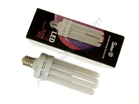 These unique plants will add beauty and interest to your landscape. Sale of Solux LED Flowering Bulb