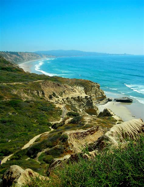 Park for free along 101 to the north and then walk south to the beach. Torrey Pines, San Diego | San diego travel, California travel, Torrey pines