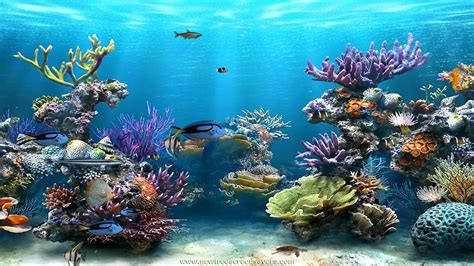 48 Animated Underwater Wallpaper Wallpapersafari