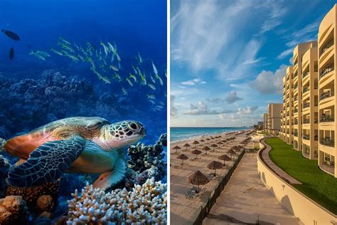 Cozumel Vs Cancun For Vacation Which One Is Better
