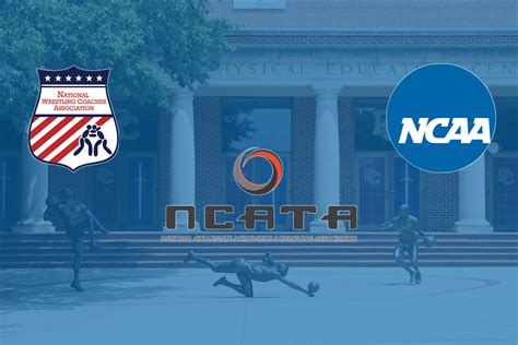 Acrobatics And Tumbling Womens Wrestling Join Ncaa Emerging Sports
