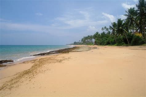 Picturesque Tropical Beach Sri Lanka Stock Image Image Of Lagoon