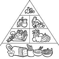 39+ food groups coloring pages for printing and coloring. Food Pyramid » Coloring Pages » Surfnetkids