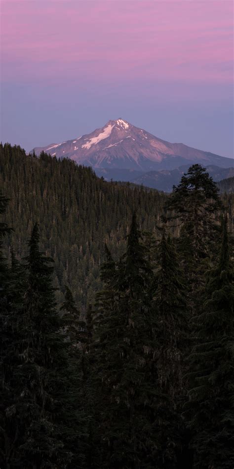 Mt Jefferson From Bull Of The Woods Wilderness Oregon Oc 1021 X