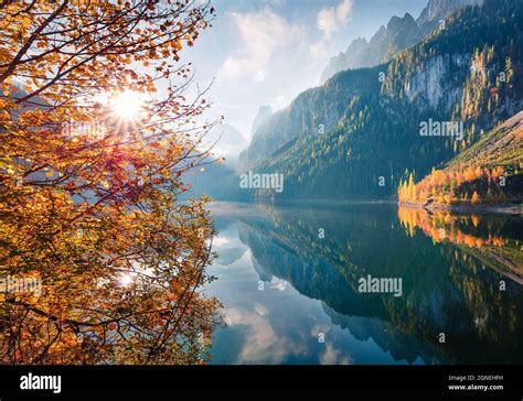 Colorful Autumn Scene Of Vorderer Gosausee Lake Amazing Morning