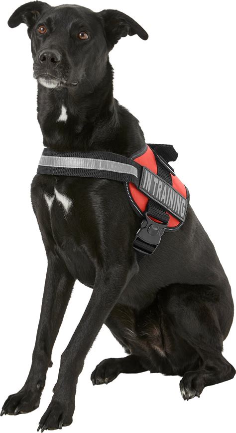 Doggie Stylz In Training Dog Harness Red Xx Large