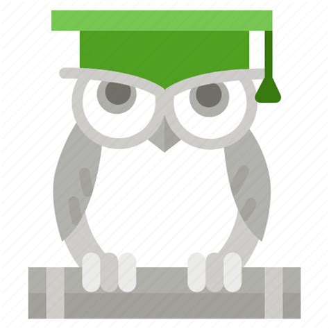 Academic Hat Knowledge Owl Wisdom Icon