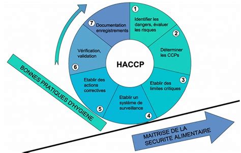 Comprendre Et Appliquer Les 7 Principes Formation Haccp