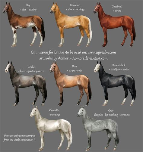 Some Akhal Teke Colorsmarkings Most Beautiful Horses Pretty Horses