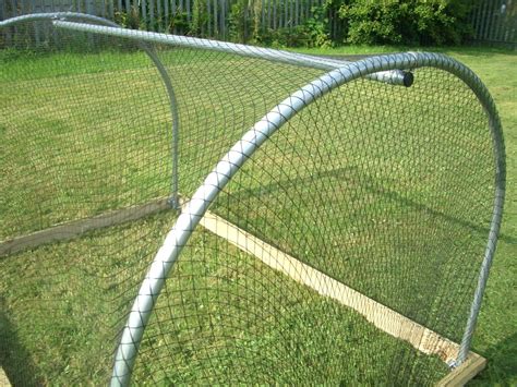 Check spelling or type a new query. bird netting for blueberries | The Polytunnel Blog from ...